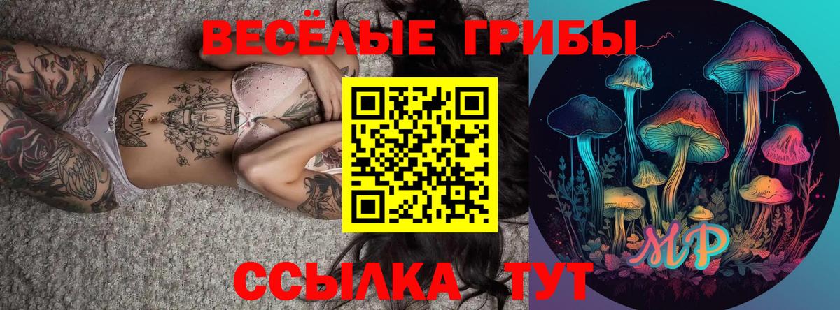 Ставрополь  Псилоцибиновые грибы Psilocybe  Вход с VPN 